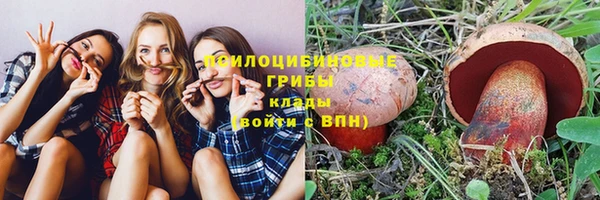 хмурый Алексин