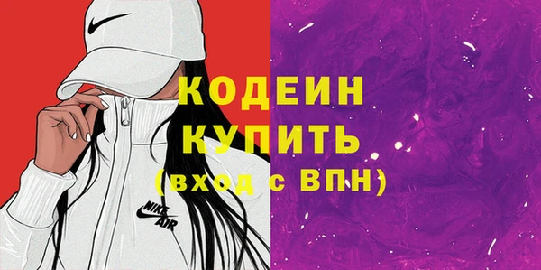 хмурый Алексин