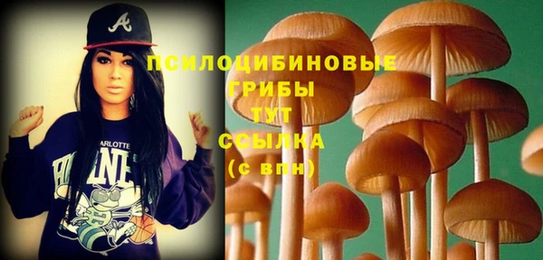 хмурый Алексин