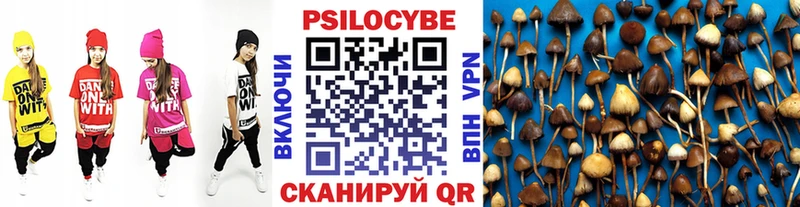 Галлюциногенные грибы ЛСД  Южно-Сахалинск 
