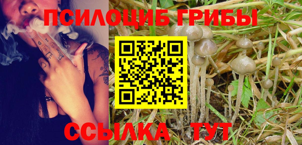 Псилоцибиновые грибы Magic Shrooms Южно-Сахалинск