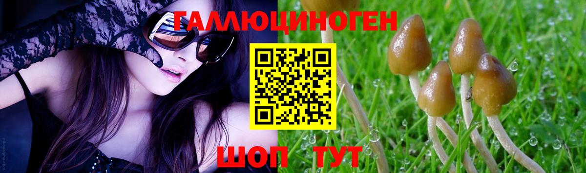 Южно-Сахалинск  Галлюциногенные грибы прущие грибы  Вход с VPN 